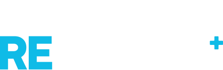 logowebplus